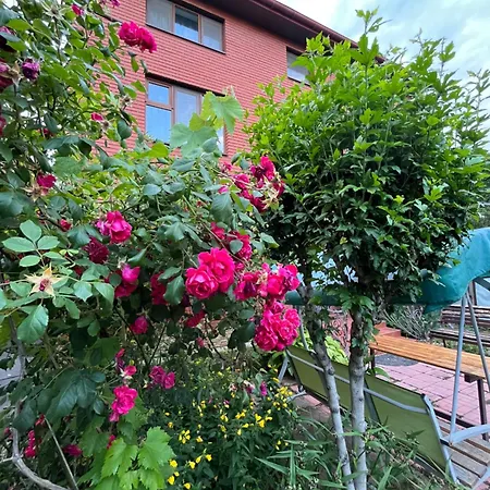 Guest house Rest House 3*