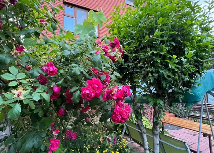 Guest house Rest House 3*